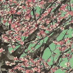 magnolie (prod. kize)