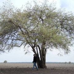 Cinta Kan Membawamu (acoustic fingerstyle)