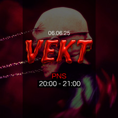 VEKT - PNS