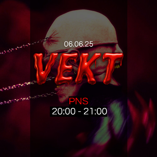 VEKT - PNS