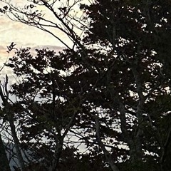 gareth t - 國際孤獨等級 (cover)