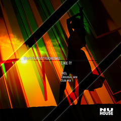 NH041 | Dmitry Kostyuchenko - Like It (Dub Mix)