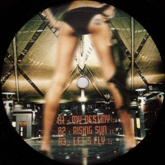 My Destiny (Original Mix)