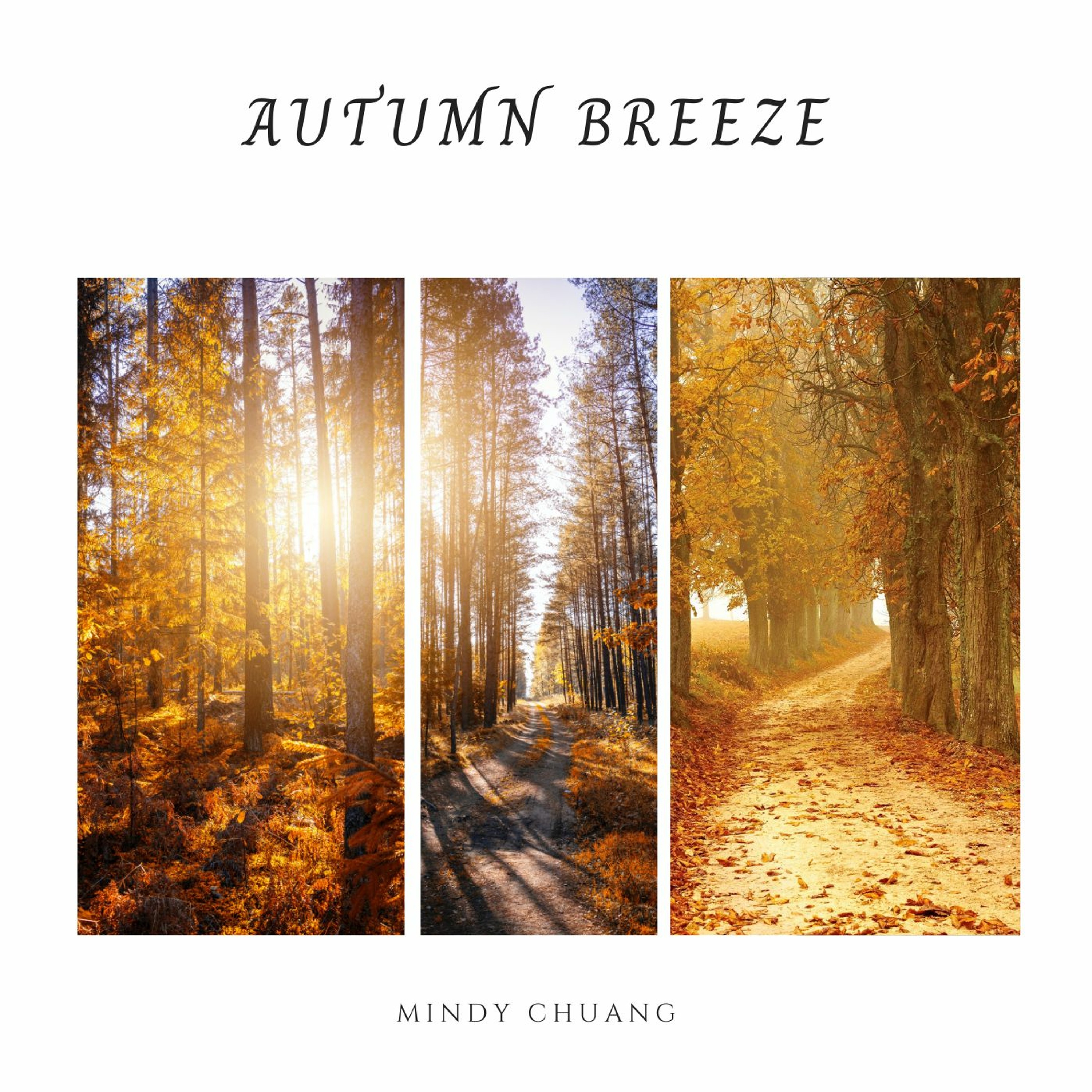 Mindy Chuang Piano