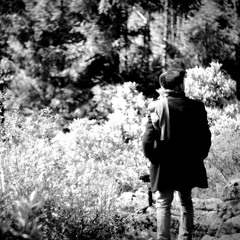 Love songs of Trasmoz | Mohsen Emadi