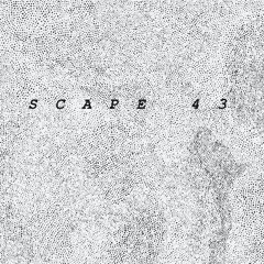 SCAPE 43