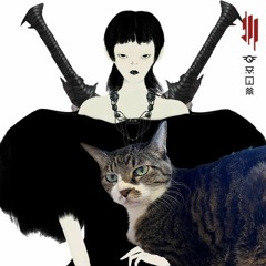 Skrillex - Xena(Dubscribe Remix)