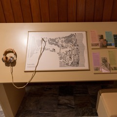 Stop Seven: Tree Talks