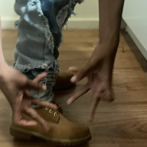 BiggestSnake