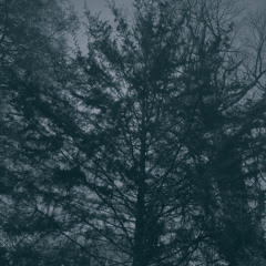 Hannah Won’t Come Down (Demo)