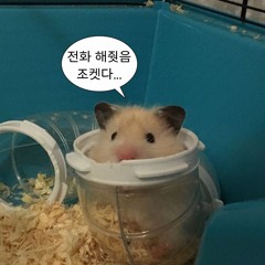끊었어