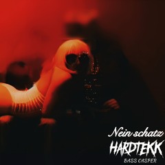 Nein Schatz - HARDTEKK REMIX 2025