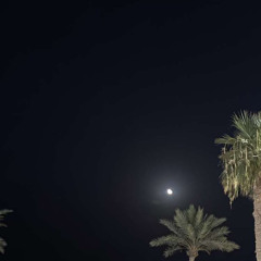 مابيني و بينك مشاريه و عتاب :(