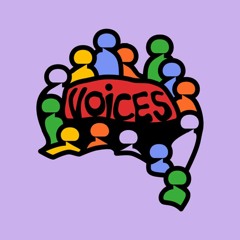 Voices Referendum Panel Conversations - Panel 1