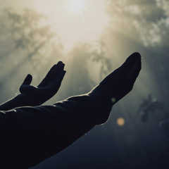 Debemos Seguir Adelante