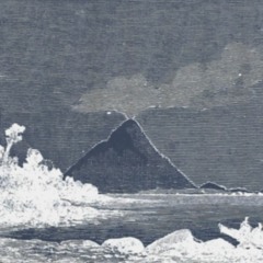 The Big Combo - 21 Girls (1981)