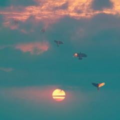 night flight