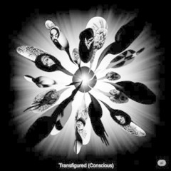 Transfigured (Conscious)