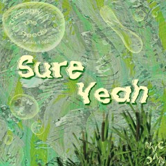 pondcast 005 ~ ꪻꫝ᥅ꪮꪊᧁꫝ ꪻꫝꫀ ᥅ꫀꫀᦔᦓ w/ Sure Yeah 𓆦∘𓈒⚬⋆