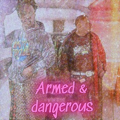 armed and dangerous x Ayoolii