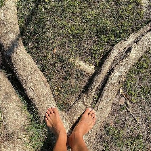 Roots