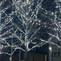 幸せでいてくれよ／Mr.ふぉるて  弾き語りcover