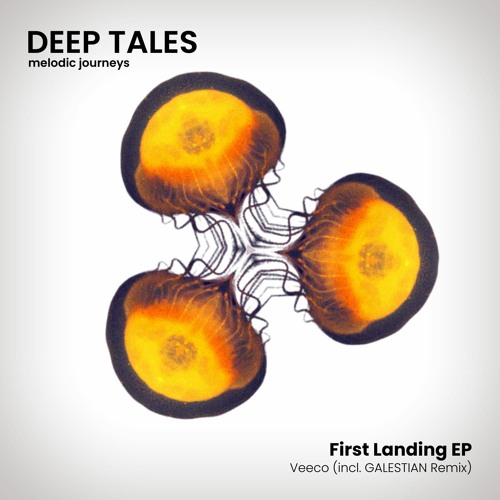 Veeco - First Landing (Original Mix) [Deep Tales]
