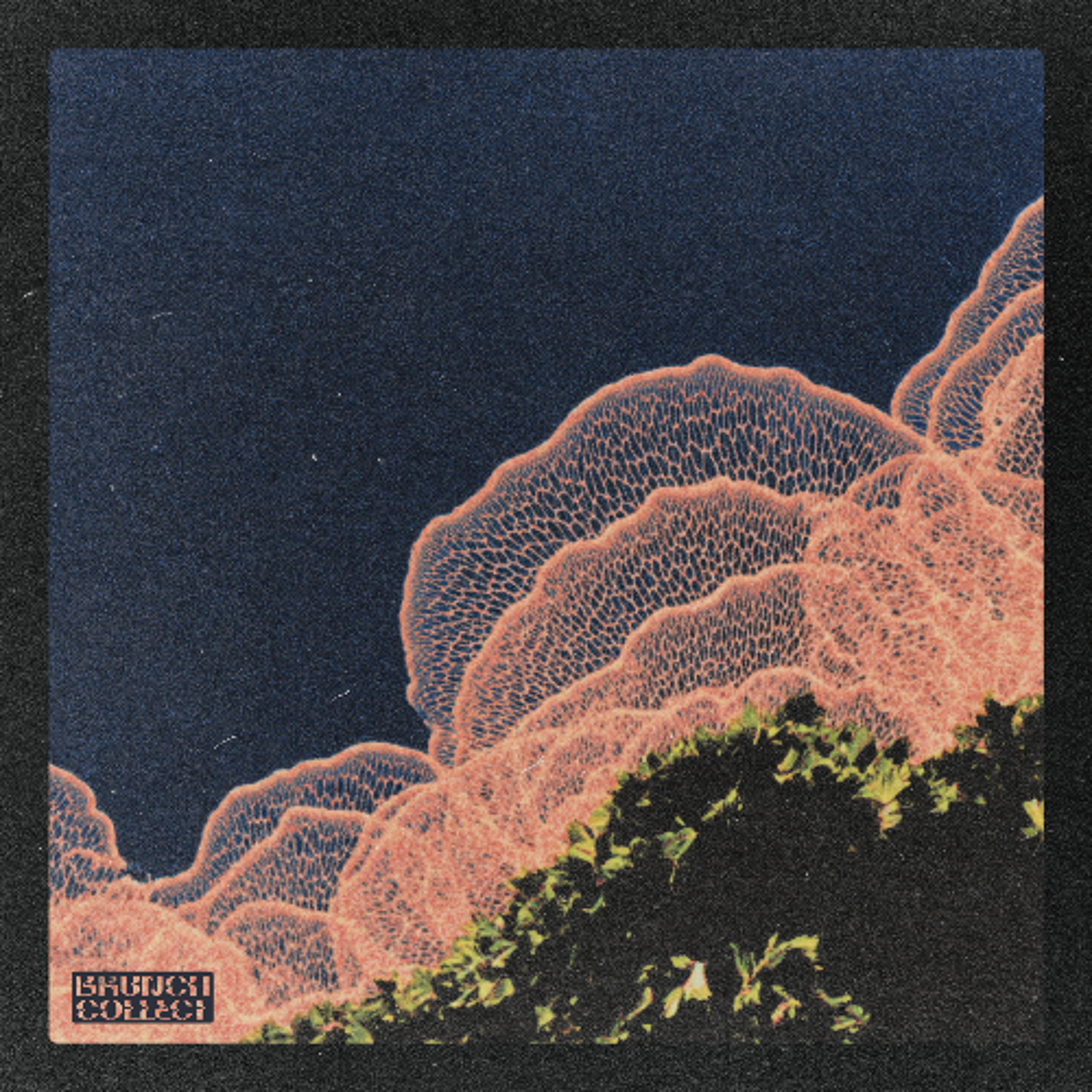 Ben Jammin' Beats x Illuzionary - Without You episode artwork