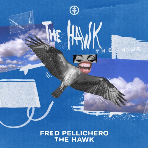 Fred Pellichero - The Hawk