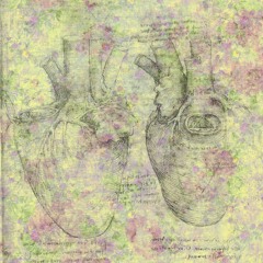 Muscle . Bone . Bloodstream