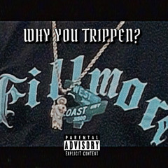 WHY YOU TRIPPEN? (feat. DjFlo24 & Freeza the King )