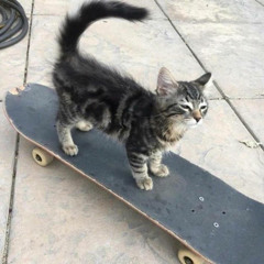 not a race (prod cl9udy)