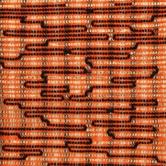 Le motif dans le tapis