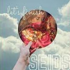 Seids - Lets Finish ( R K Project Remix )