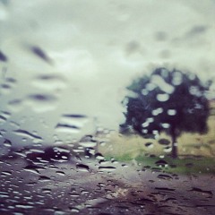 Rainstory