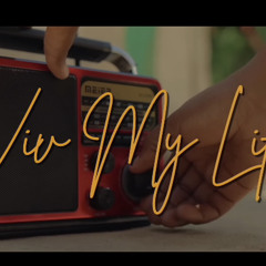 VIV MY LIFE