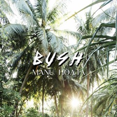 Manu Hoata ( Bush Remix )