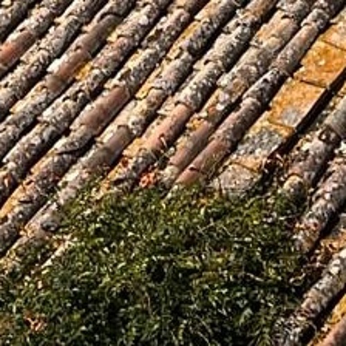 Bricks