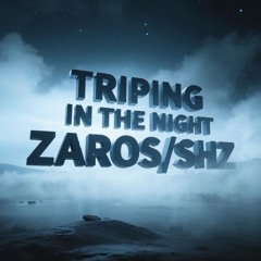 *TRIPINGINTHENIGHT* RMX