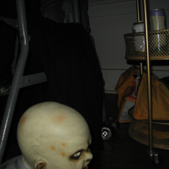 Bird Watching (Tranquilizer)