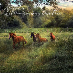 America ....Let Your Wild Horses Run Free