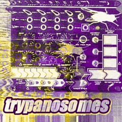 Trypanosomes [4k followers] (modular jam)