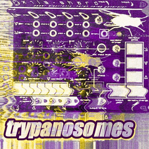 Trypanosomes [4k followers] (modular jam)