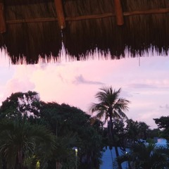 zz top g.m.a.y.l Als backyard remix (give me all your muffins! fat man edit - house remix)