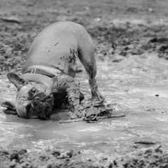 Ellie Goulding - Starry Eyes -  Remix