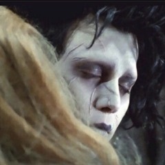 hollows flew