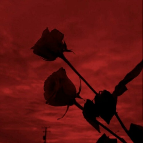 Love Song (Lone Ranger)
