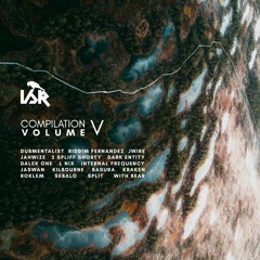 Internal Frequency - Of Hope And Despair