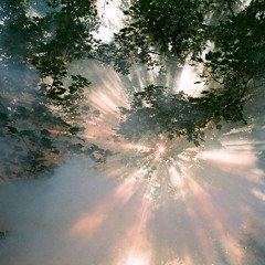 Unsettled (p. NovaChance)