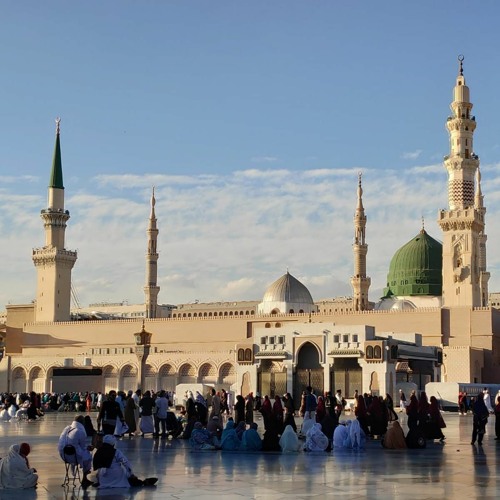 يا زائرين رسول الله سيدنا النبي في الروضة حي
